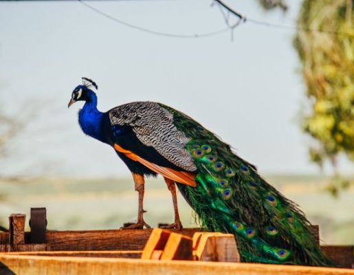 Foto - Turismo Rural