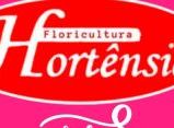FLORICULTURA HORTÊNSIA